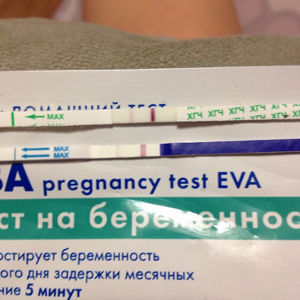 Что делать если задержка 32 дня 65