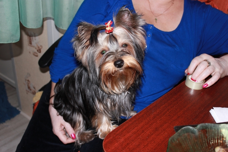 Давно не показывались))