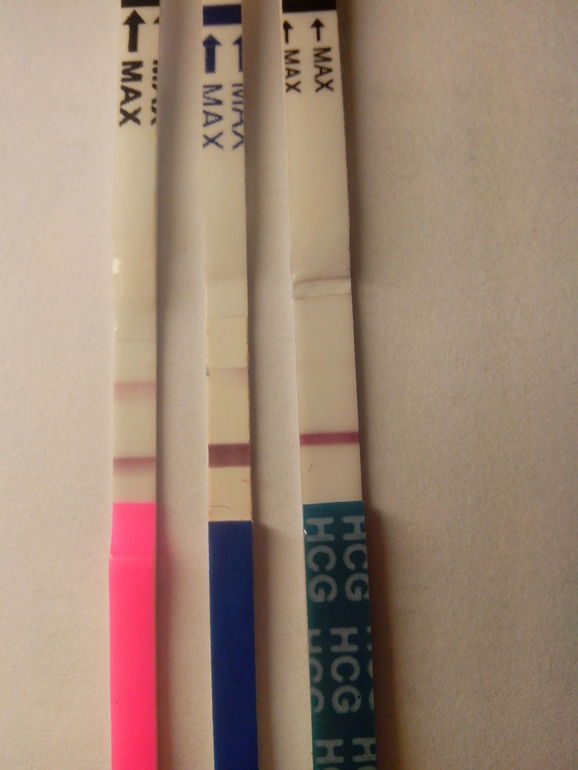 Тесты, надежды.............................