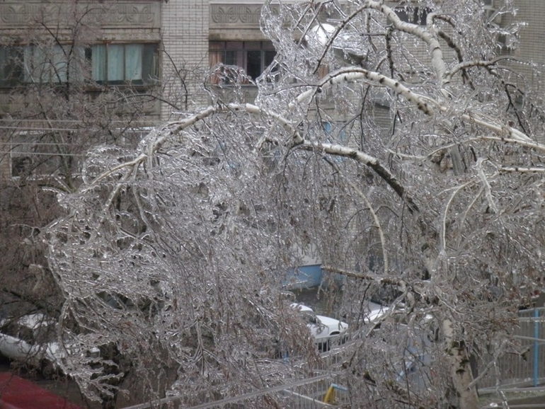 Краснодарский Апокалипсис