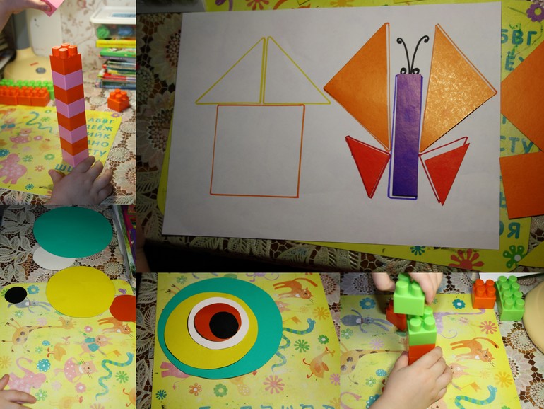 Птицы. 4. Лесные.