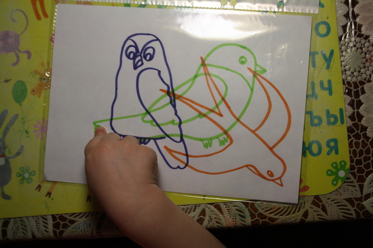 Птицы. 4. Лесные.