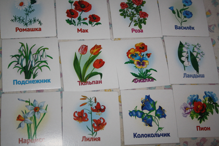 Цветы-цветочки.