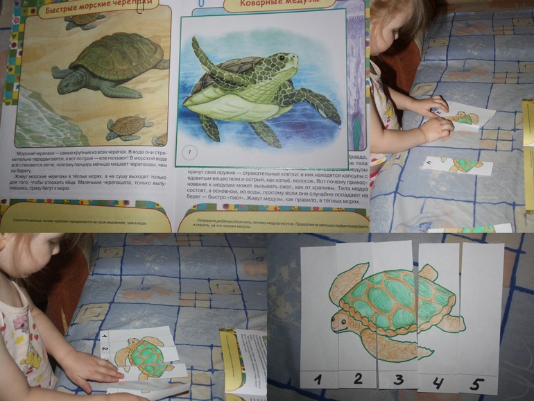 Обитатели морей и океанов.  День 2.