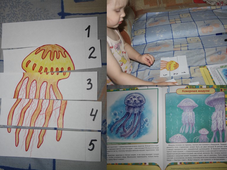 Обитатели морей и океанов.  День 2.