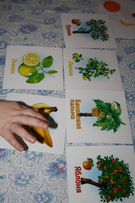 Фрукты. День 4.