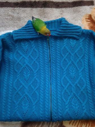 мой долговяз наконец то закончен!