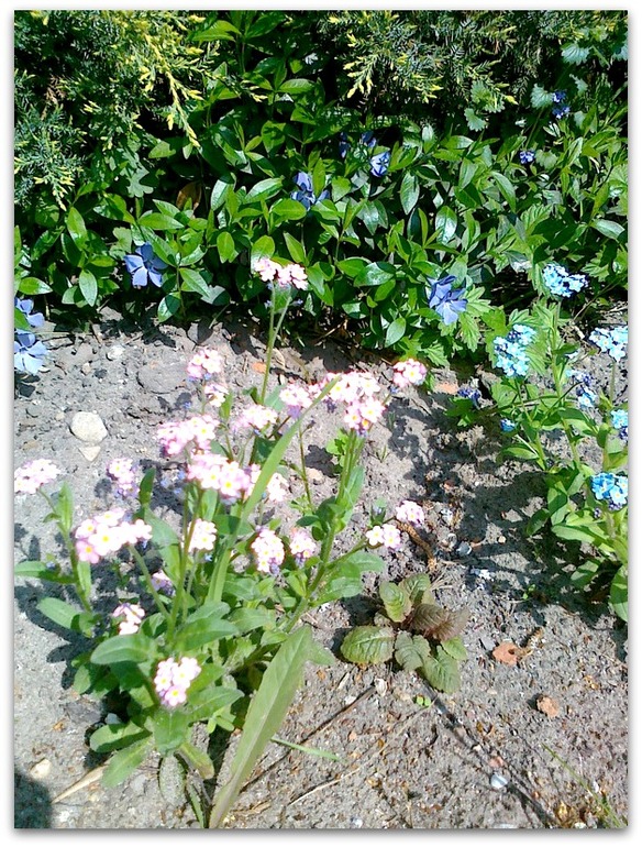 Весна глазами Любы.