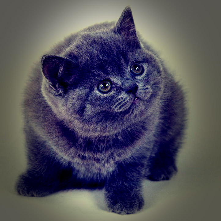 КЗ № 30. Создаем ЛОМО снимок