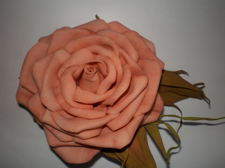 мои фомочки))