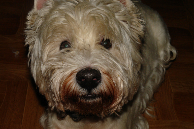 Прогулка....