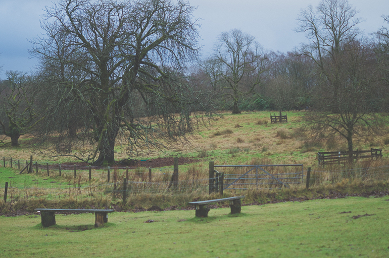 Зимние каникулы