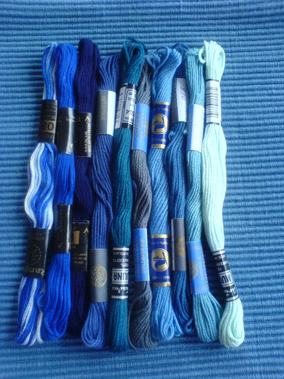 Калининградский хомячок готов переехать в новый дом