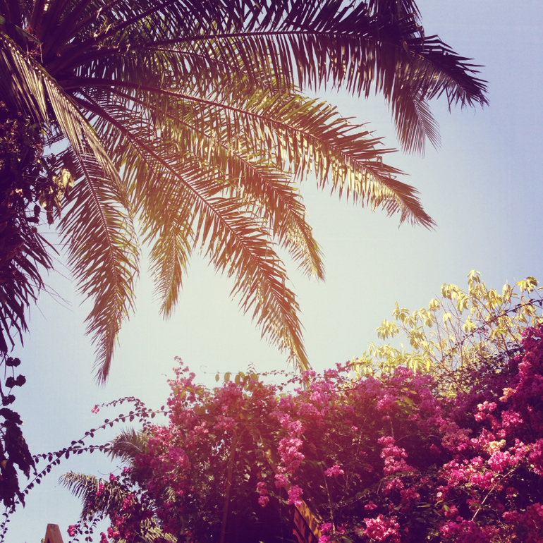 Всем привет)Это мы)