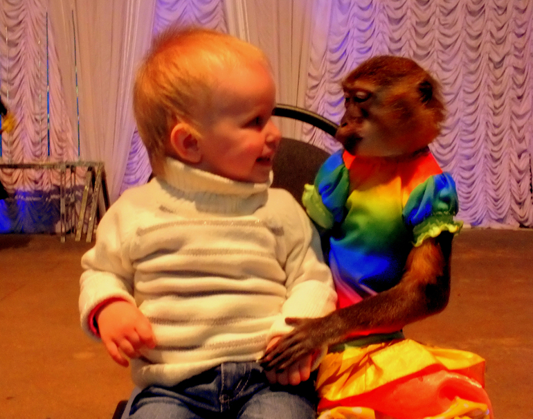 Софьюшкины 1 и 8