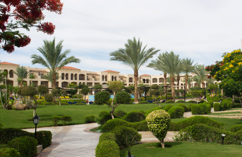 А мы слетали в Египет!