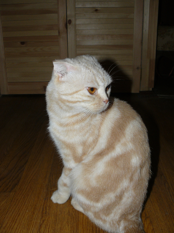 Наши "Малыши")))