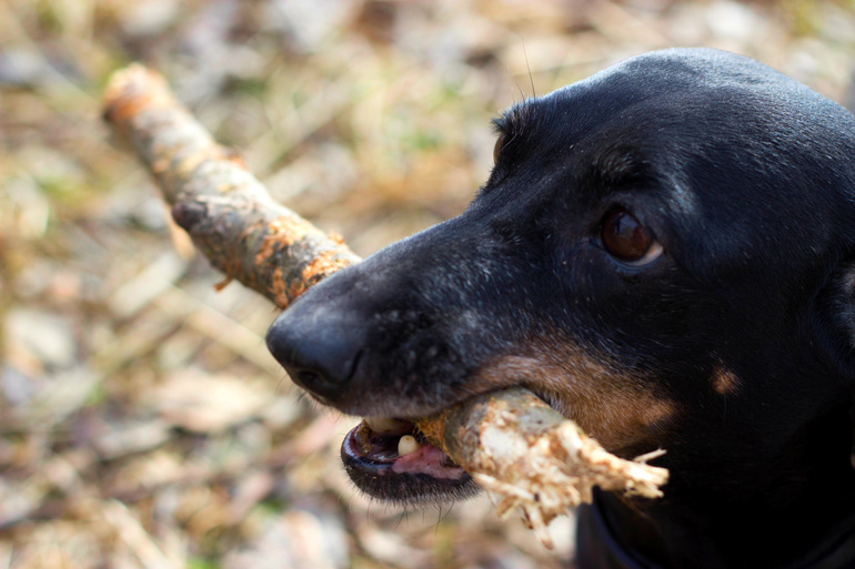 Весна пришла.Уррра