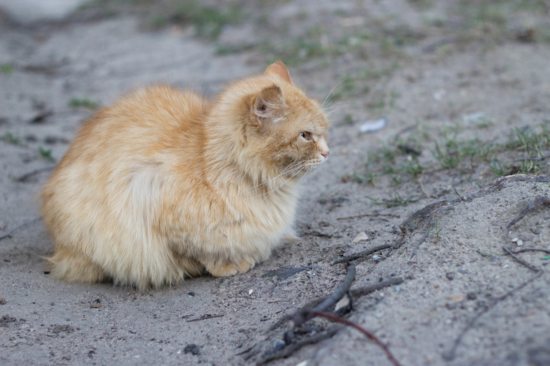 Весна пришла.Уррра