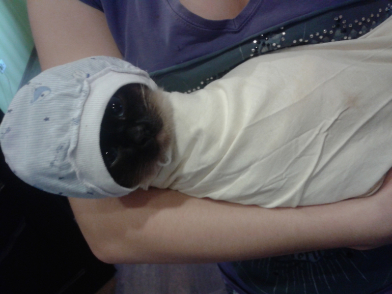 Как развлекается будуущая мама)))