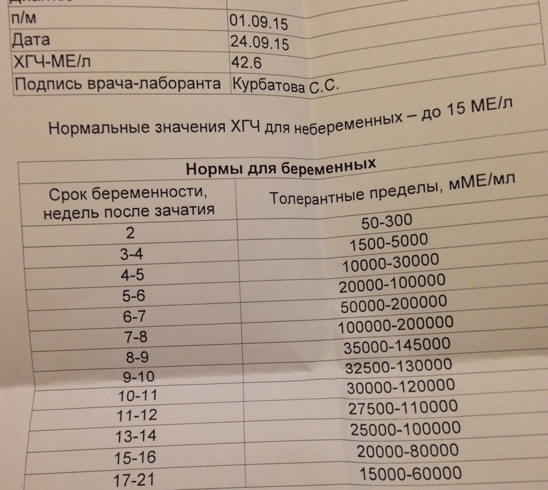 Как понять это беременность или месячные как Как понять это беременность или месячные как