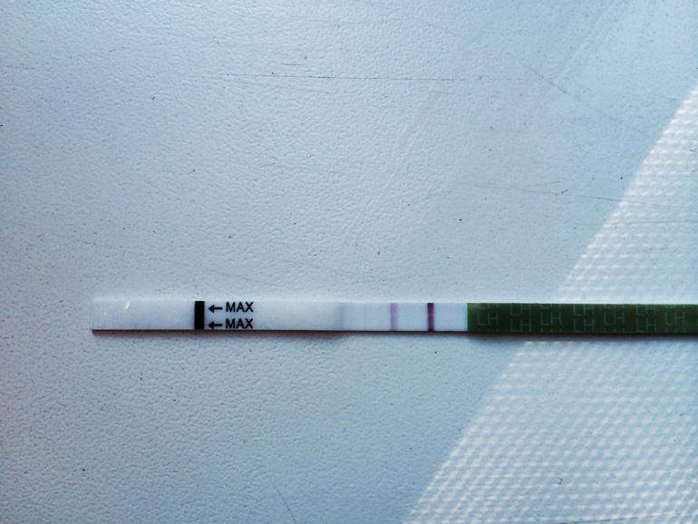 Овуляция ??? Или что ?