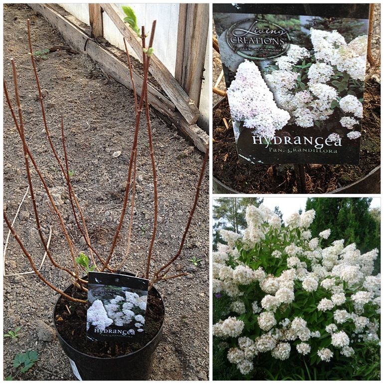 Сезон открываем...