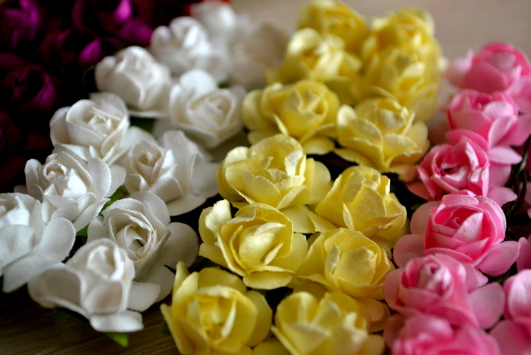 Радость у хомяка))