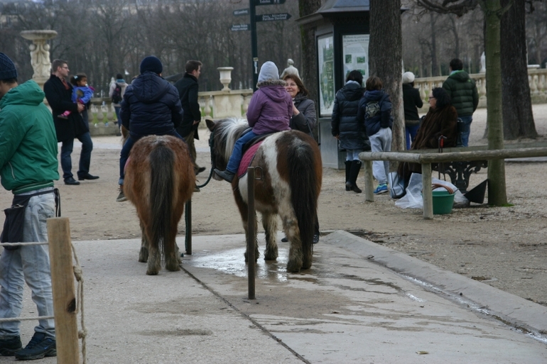 Четыре дня в Париже. День первый.
