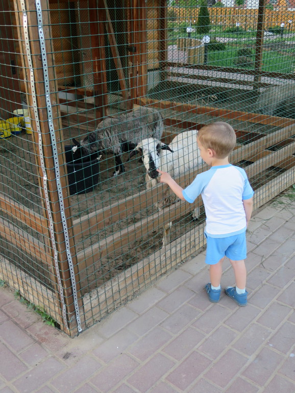 Выходные и не только часть 1