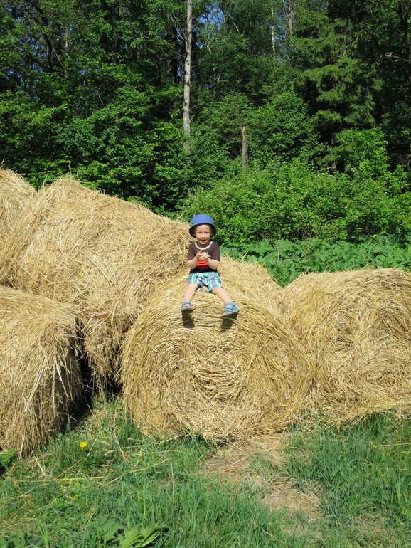 Выходные и не только часть 2