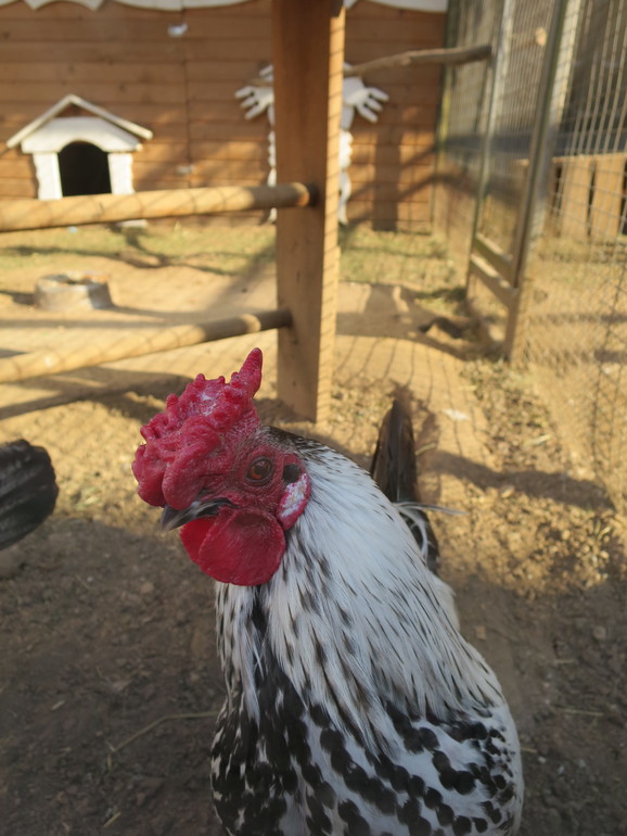 Выходные и не только часть 1