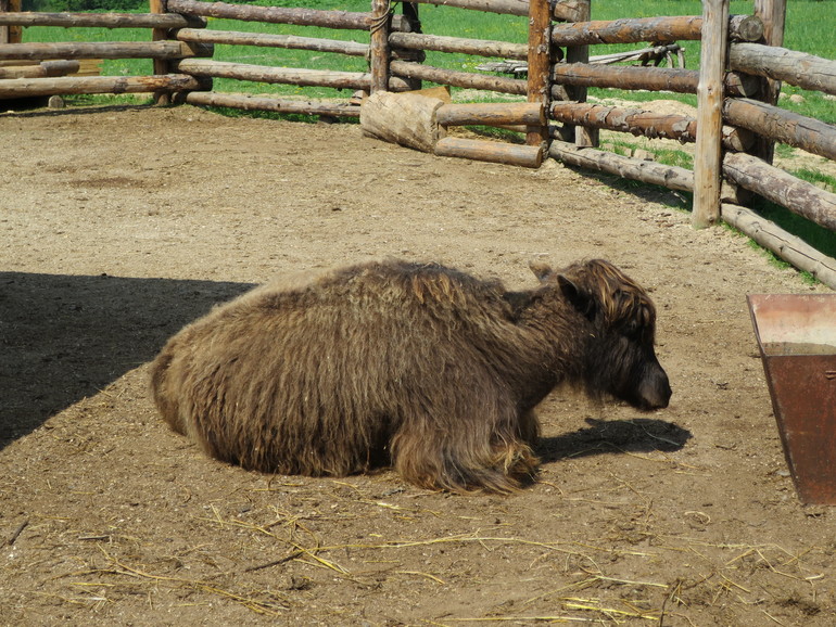 Выходные и не только часть 2