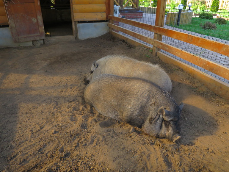 Выходные и не только часть 1
