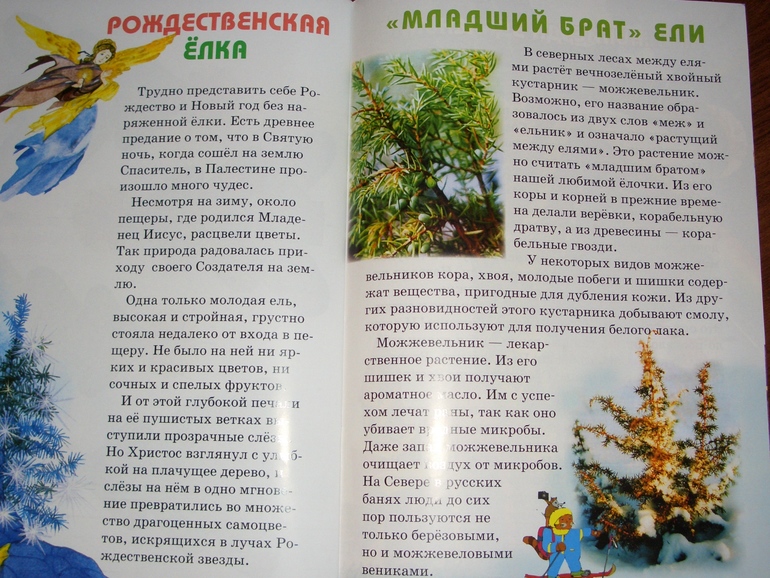 Журнал "Свирелька"