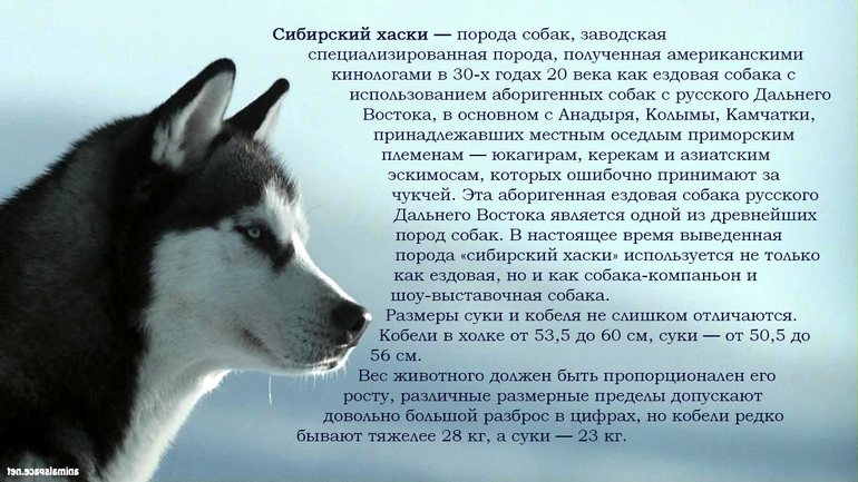 Контрольное задание № 15. "Территория текст"