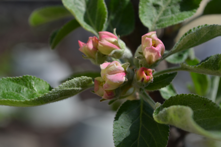 За что я люблю весну