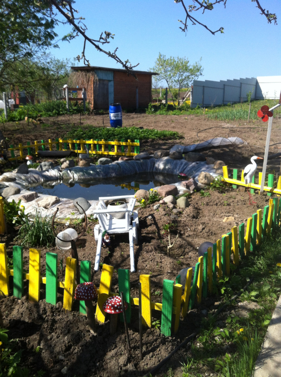 Чем чистить пруд?