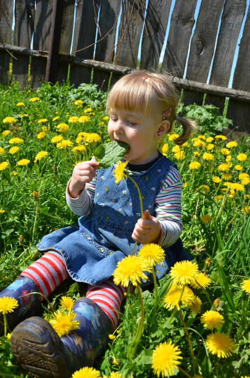 мы в деревне