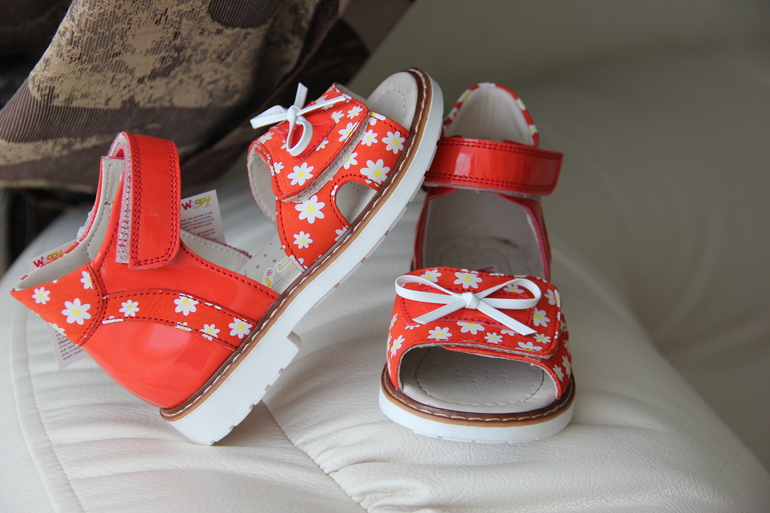 Наш хвастик