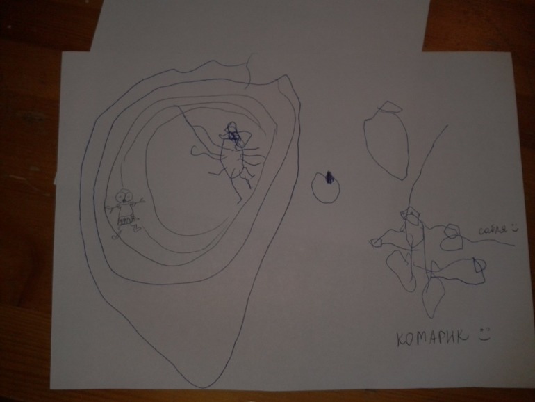 Семен порадовал )) муха-цокотуха) я муху подрисовала ему на 2 фото))