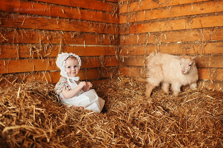 Утятки и козлятки)