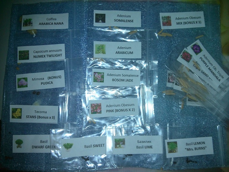 Понеслась....