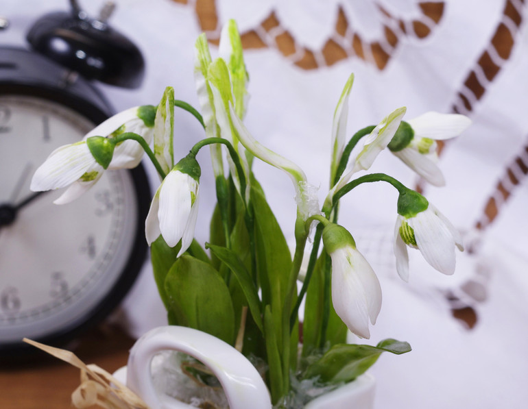 подснежники...