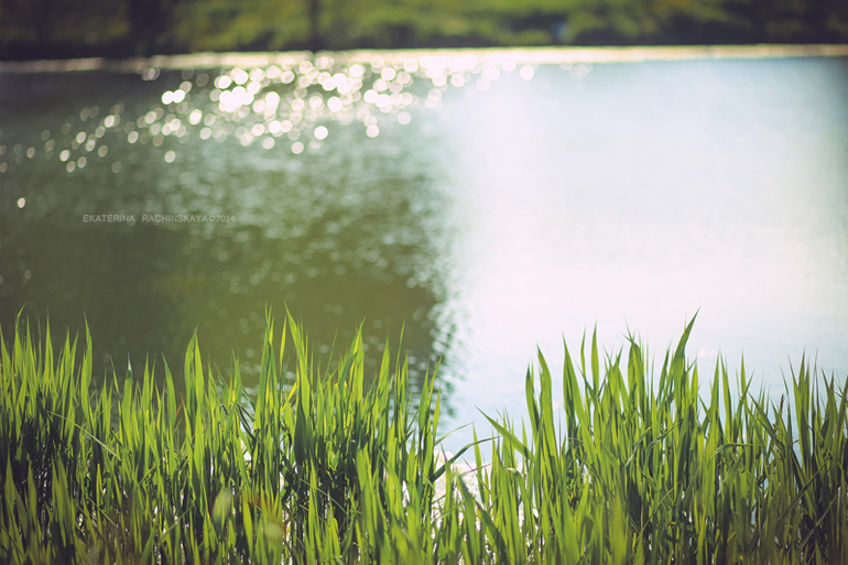 Прогулка с бабушкой и дедушкой