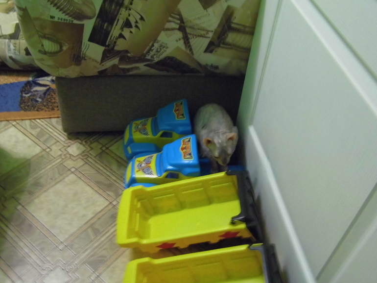 мы все делаем вместе))))