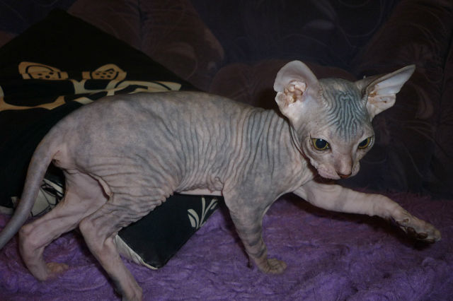 нашей девочке 6 мес))))