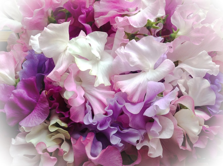 Беременные радости, горести и бзики