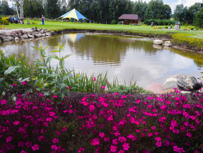 Мои розочки;-) и 32-я пошла:-)