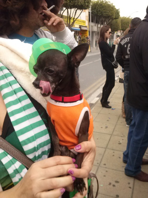 Весна,карнавал и просто позитив.